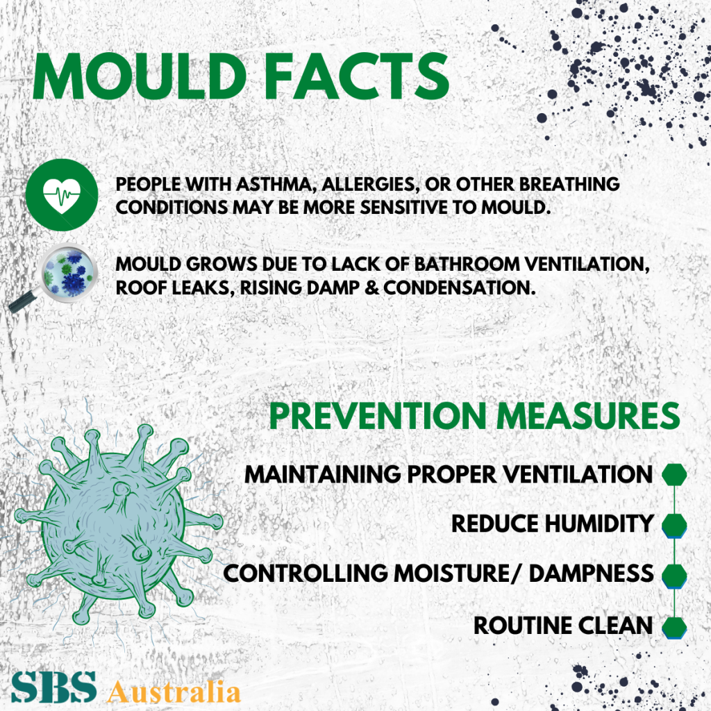 Mold and Prevention Measures