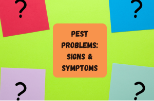 Pest Problems Signs And Symptoms