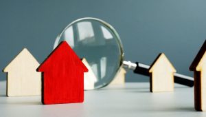 property maintenance services